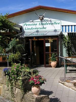 Pension Lindenallee Neuendettelsau Exteriér fotografie